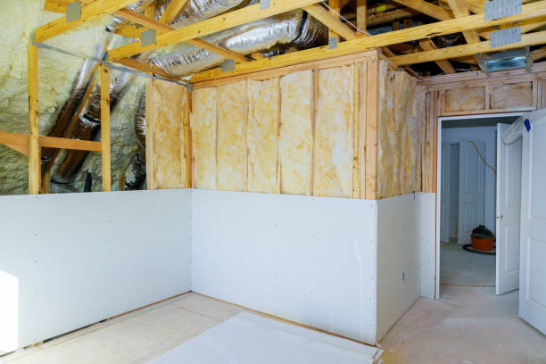 Best Eco-Friendly Insulation in West Buechel, KY