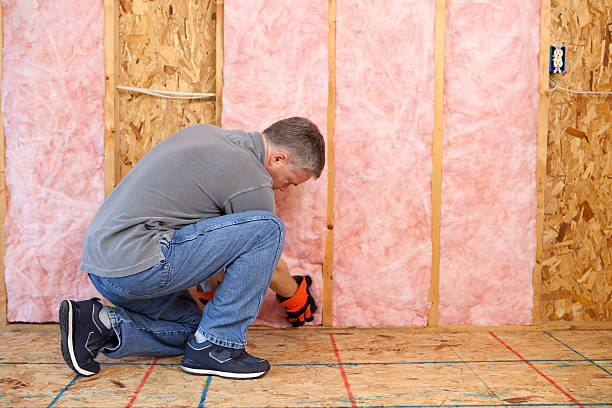 Best Geographic-Specific Insulation Services in West Buechel, KY
